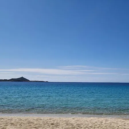Tatil Evi Dei Pirati, Sulla Di Campus *